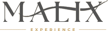 Malix Experience logo